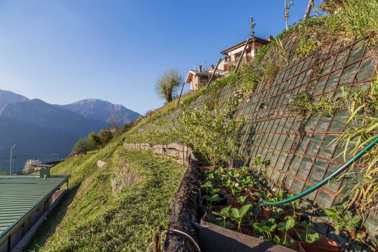 Agriturismo Alveare Sul Lago Pisogne Luaran gambar