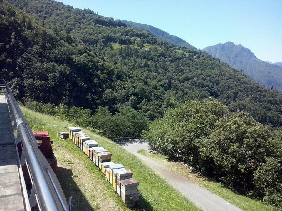 Agriturismo Alveare Sul Lago Pisogne Luaran gambar